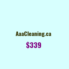Domain Name: AaaCleaning.ca For Sale: $339