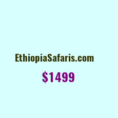 Domain Name: EthiopiaSafaris.com For Sale: $1499