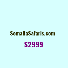 Domain Name: SomaliaSafaris.com For Sale: $2999