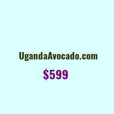 Domain Name: UgandaAvocado.com For Sale: $599