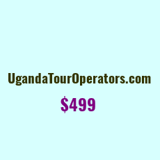 Domain Name: UgandaTourOperators.com For Sale: $399