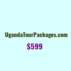 Domain Name: UgandaTourPackages.com For Sale: $500